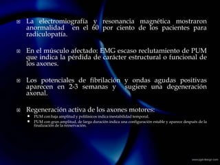  La electromiografía y resonancia magnética mostraron
anormalidad en el 60 por ciento de los pacientes para
radiculopatía.
 En el músculo afectado: EMG escaso reclutamiento de PUM
que indica la pérdida de carácter estructural o funcional de
los axones.
 Los potenciales de fibrilación y ondas agudas positivas
aparecen en 2-3 semanas y sugiere una degeneración
axonal.
 Regeneración activa de los axones motores:
 PUM con baja amplitud y polifásicos indica inestabilidad temporal.
 PUM con gran amplitud, de larga duración indica una configuración estable y aparece después de la
finalización de la reinervación.
 
