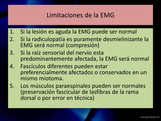 Limitaciones de la EMG
1. Si la lesión es aguda la EMG puede ser normal
2. Si la radiculopatía es puramente desmielinizante la
EMG será normal (compresión)
3. Si la raíz sensorial del nervio esta
predominantemente afectada, la EMG será normal
4. Fascículos diferentes pueden estar
preferencialmente afectados o conservados en un
mismo miotoma.
5. Los músculos paraespinales pueden ser normales
(preservación fascicular de lasfibras de la rama
dorsal o por error en técnica)
 