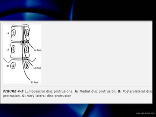 ANATOMIA PARA LA LOCALIZACIÓN (1).ppt