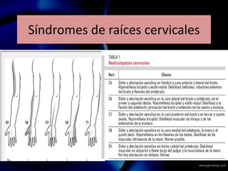 Síndromes de raíces cervicales
 