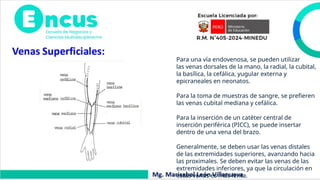 Para una vía endovenosa, se pueden utilizar
las venas dorsales de la mano, la radial, la cubital,
la basílica, la cefálica, yugular externa y
epicraneales en neonatos.
Para la toma de muestras de sangre, se prefieren
las venas cubital mediana y cefálica.
Para la inserción de un catéter central de
inserción periférica (PICC), se puede insertar
dentro de una vena del brazo.
Generalmente, se deben usar las venas distales
de las extremidades superiores, avanzando hacia
las proximales. Se deben evitar las venas de las
extremidades inferiores, ya que la circulación en
estas venas es más lenta.
 