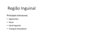Região Inguinal
Principais estruturas
• Ligamentos
• Vasos
• Canal Inguinal
• Triangulo Hasselbach
 
