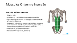 Músculos Origem e Inserção
Músculo Reto de Abdome
• Origem: púbis
• Inserção: 5 a 7 cartilagem costais e apêndice xifoide
• Ação: fletir coluna, auxílio na expiração e faz aumento da
pressão intrabdominal
• Irrigação: a. epigástricas superiores e inferiores; pequenos
ramos terminais das intercostais inferiores, a.subcostal, a.
lombar posterior e a.circunflexa ilíaca profunda.
• Inervação: 5-12º nervos intercostais
• Correlação Clinica(hérnias, diástase)
 