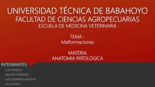UNIVERSIDAD TÉCNICA DE BABAHOYO
FACULTAD DE CIENCIAS AGROPECUARIAS
ESCUELA DE MEDICINA VETERINARIA
TEMA.-
Malformaciones
MATERIA
ANATOMIA PATOLOGICA
INTEGRANTES:
• LUIS MURILLO
• MELANY ANDRADE
• LUIS GUERRERO MACKLIFF
• JULIO RIZZO
 