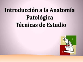 anatomia patologica.pptx