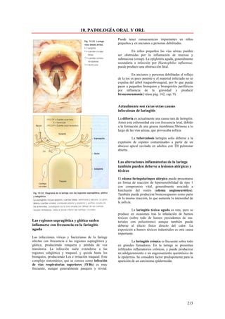 Anatomia patologica   stevens