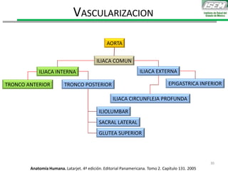 AORTA
ILIACA COMUN
ILIACA EXTERNAILIACA INTERNA
EPIGASTRICA INFERIOR
ILIACA CIRCUNFLEJA PROFUNDA
TRONCO POSTERIORTRONCO ANTERIOR
ILIOLUMBAR
VASCULARIZACION
SACRAL LATERAL
GLUTEA SUPERIOR
Anatomía Humana. Latarjet. 4ª edición. Editorial Panamericana. Tomo 2. Capítulo 131. 2005
30
 