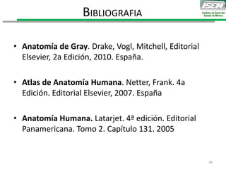 • Anatomía de Gray. Drake, Vogl, Mitchell, Editorial
Elsevier, 2a Edición, 2010. España.
• Atlas de Anatomía Humana. Netter, Frank. 4a
Edición. Editorial Elsevier, 2007. España
• Anatomía Humana. Latarjet. 4ª edición. Editorial
Panamericana. Tomo 2. Capítulo 131. 2005
BIBLIOGRAFIA
38
 