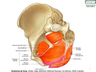 Anatomía de Gray. Drake, Vogl, Mitchell, Editorial Elsevier, 2a Edición, 2010. España.
5
 