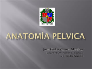Juan Carlos Vaquen Martínez Residente I Obstetricia y Ginecología Universidad Nacional 