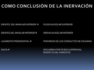DIENTES DEL MAXILAR SUPERIOR  PLEXOALVEOLAR SUPERIOR
DIENTES DEL MAXILAR INFERIOR NERVIOALVEOLAR INFERIOR
LIGAMENTO PERIODONTAL POR MEDIO DE LOS CONDUCTOS DEVOLKMAN
ENCÍA DISCURREN PORTEJIDO SUPERFICIAL
RESPECTO DEL PERIOSTIO
 