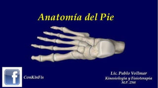 Anatomia del Pie