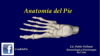 Anatomia del Pie