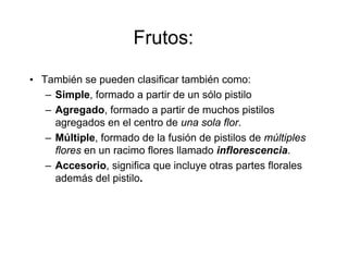 Frutos:
• También se pueden clasificar también como:
– Simple, formado a partir de un sólo pistilo
– Agregado, formado a partir de muchos pistilos
agregados en el centro de una sola flor.
– Múltiple, formado de la fusión de pistilos de múltiples
flores en un racimo flores llamado inflorescencia.
– Accesorio, significa que incluye otras partes florales
además del pistilo.
 