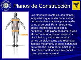 Planos de ConstrucciónPlanos de Construcción
Los planos horizontales, son planos
imaginarios que pasan por el cuerpo
perpendiculares tanto al plano medio
como al coronal. Para recordarlos,
puede imaginarlos paralelos al
horizonte. Todo plano horizontal divide
el cuerpo en una porción superior y
otra inferior, y entre dos de esos
cortes paralelos surge una rebanada
llamada metamero. El plano horizontal
de referencia, pasa por el ombligo. El
plano horizontal también se conoce
como plano transversal.
 