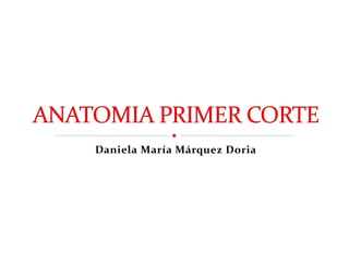 Daniela María Márquez Doria
 