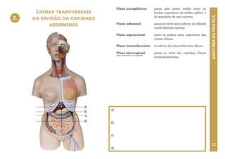 ANATOMIA
NA
PRÁTICA
12
Linhas transversais
da divisão da cavidade
abdominal
Plano transpilórico: passa pelo ponto médio entre as
bordas superiores da sínfise púbica e
do manúbrio do osso esterno.
Plano subcostal: passa no nível mais inferior do rebordo
costal (décima costela).
Plano supracristal: entre os pontos mais superiores das
cristas ilíacas.
Plano intertubercular: na altura dos dois tubérculos ilíacos.
Plano interespinal: passa ao nível das espinhas ilíacas
anterossuperiores.
a)
b)
c)
d)
2.
2. LINHAS TRANSVERSAIS DA
DIVISÃO DA CAVIDADE
ABDOMINAL
a
b
d
c
(não mostrado na imagem)
 