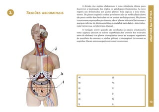 ANATOMIA
NA
PRÁTICA
13
A divisão das regiões abdominais é uma referência clínica para
descrever a localização dos órgãos ou patologias relacionadas. As nove
regiões são delimitadas por quatro planos: dois sagitais e dois trans-
versos. Os planos sagitais usados geralmente são os médio-claviculares
(do ponto médio das clavículas até os pontos medioinguinais). Os planos
transversos empregados geralmente são os planos subcostal (atravessa a
margem inferior da décima cartilagem costal de cada lado) e intertuber-
cular (atravessa os tubérculos ilíacos).
A variação ocorre quando são escolhidos os planos semilunares
como sagitais (cruzam os sulcos superficiais das laterais dos músculos
retos do abdome) e os planos transpilórico (entre as margens superiores
do manúbrio do esterno e a sínfise púbica) e interespinal (atravessa as
espinhas ilíacas anterossuperiores) como transversos.
Regiões abdominais
a)
b)
c)
d)
e)
f)
g)
h)
i)
j)
k)
l)
3.
3. REGIÕES ABDOMINAIS
g h i
c
d f
a
e
b
j
k
l
 