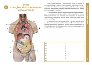 ANATOMIA
NA
PRÁTICA
18
Com o coração removido, o mediastino está visível na imagem, as-
sim como o esôfago e a parte torácica da aorta. Na verdade, devido à
assimetria do mediastino e sua expansão nos três planos do corpo, não
existe uma representação anatômica com uma visão simultânea de todas
as estruturas que o compõem.
A aorta apresenta relações anatômicas variadas durante sua via: a
parte ascendente no mediastino médio, a subida no mediastino superior
formando o arco com uma curvatura para esquerda e em seguida em
uma subárea do mediastino inferior, depois ventral em relação à tra-
queia e ao esôfago.
O estômago é um órgão intraperitoneal e portanto bastante móvel
e deslizante em relação aos órgãos adjacentes. Por meio de suas faces
esplênica, suprarrenal, pancreática, hepática, renal e colomesocólica es-
tes órgãos podem se atingidos por úlceras ou tumores malignos gástricos
devido ao contato muito próximo.
Torso
coração e fígado removidos
vista anterior
a)
b)
c)
d)
e)
f)
g)
h)
i1
)
i2
)
i3
)
i4
)
i5
)
j)
k)
8.
8. TORSO - CORAÇÃO E FÍGADO REMOVIDOS
VISTA ANTERIOR
a
b
c d
e
h
k
j
i4
i3
i1
i2
g
f
i5
 