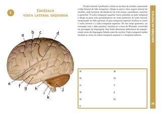 ANATOMIA
NA
PRÁTICA
28
O sulco lateral é profundo e inicia-se na base do cérebro, separando
o lobo frontal do lobo temporal e dirige-se para a face supero lateral do
cérebro, onde termina, dividindo-se em três ramos: ascendente, anterior
e posterior. O sulco temporal superior inicia próximo ao polo temporal
e dirige-se para trás paralelamente ao ramo posterior do sulco lateral,
terminando no lobo parietal. O giro temporal superior localiza-se entre
o sulco lateral e o sulco temporal superior. No seu terço posterior, na
transição com o lobo parietal, localiza-se a área de Wernick, envolvida
na percepção da linguagem. Sua lesão determina deficiência de compre-
ensão tanto da linguagem falada como da escrita. O giro temporal médio
localiza-se entre os sulcos temporal superior e o temporal inferior.
Encéfalo
vista lateral esquerda
7.
a)
b)
c)
d)
e)
f)
g)
h)
i)
j)
k)
7. ENCÉFALO – VISTA LATERAL ESQUERDA
d
c
b
a
f
e
g h
i
j
k
 
