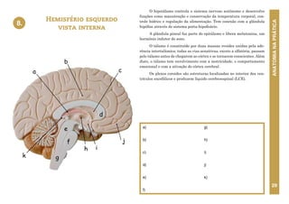ANATOMIA
NA
PRÁTICA
29
O hipotálamo controla o sistema nervoso autônomo e desenvolve
funções como manutenção e conservação da temperatura corporal, con-
trole hídrico e regulação da alimentação. Tem conexão com a glândula
hipófise através do sistema porta-hipofisário.
A glândula pineal faz parte do epitálamo e libera melatonina, um
hormônio indutor do sono.
O tálamo é constituído por duas massas ovoides unidas pela ade-
rência intertalâmica; todas as vias sensitivas, exceto a olfatória, passam
pelo tálamo antes de chegarem ao córtex e se tornarem conscientes. Além
disto, o tálamo tem envolvimento com a motricidade, o comportamento
emocional e com a ativação do córtex cerebral.
Os plexos coroides são estruturas localizadas no interior dos ven-
trículos encefálicos e produzem líquido cerebroespinal (LCE).
Hemisfério esquerdo
vista interna
8.
a)
b)
c)
d)
e)
f)
g)
h)
i)
j)
k)
8. HEMISFÉRIO ESQUERDO – VISTA INTERNA
e
d
f
g
c
j
b
a
h i
k
 