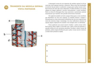 ANATOMIA
NA
PRÁTICA
34
A drenagem venosa de um segmento da medula espinal se dá por
meio das veias espinais anterior e posterior. Estas veias têm localização
no interior da pia-máter e conduzem o sangue para o plexo venoso verte-
bral interno por meio das veias radiculares. O plexo localiza-se no tecido
adiposo do espaço epidural e envolve internamente o canal vertebral.
Entre as áreas de drenagem das veias anteriores e posteriores existem
anastomoses que mantêm uma pressão intravenosa constante.
Na região da medula cervical o sangue drena para a veia vertebral,
que desemboca na veia cava superior; na medula torácica o sangue é
drenado para as veias intercostais (tributárias da veia cava superior) por
meio dos sistemas ázigo e hemiázigo. As veias radiculares existem em
apenas alguns segmentos da medula e há variação entre os indivíduos.
Veias epidurais nos canais sacral e lombar: o plexo venoso verte-
bral interno desta região é conectado com o plexo venoso da próstata e,
quando células de um carcinoma prostático invadem o plexo venoso da
próstata, podem migrar facilmente para o plexo venoso sacral e destruir
o tecido ósseo próximo à região.
Segmento da medula espinal
vista posterior
13.
a)
b)
c)
d)
13. SEGMENTO DA MEDULA ESPINAL
VISTA POSTERIOR
b
a
c
d
 