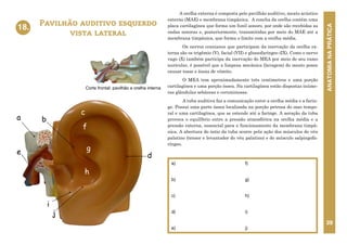 ANATOMIA
NA
PRÁTICA
39
A orelha externa é composta pelo pavilhão auditivo, meato acústico
externo (MAE) e membrana timpânica. A concha da orelha contém uma
placa cartilagínea que forma um funil sonoro, por onde são recebidas as
ondas sonoras e, posteriormente, transmitidas por meio do MAE até a
membrana timpânica, que forma o limite com a orelha média.
Os nervos cranianos que participam da inervação da orelha ex-
terna são os trigêmio (V), facial (VII) e glossofaríngeo (IX). Como o nervo
vago (X) também participa da inervação do MEA por meio de seu ramo
auricular, é possível que a limpeza mecânica (lavagem) do meato possa
causar tosse e ânsia de vômito.
O MEA tem aproximadamente três centimetros e uma porção
cartilagínea e uma porção óssea. Na cartilagínea estão dispostas inúme-
ras glândulas sebáceas e ceruminosas.
A tuba auditiva faz a comunicação entre a orelha média e a farin-
ge. Possui uma parte óssea localizada na porção petrosa do osso tempo-
ral e uma cartilagínea, que se estende até a faringe. A aeração da tuba
provoca o equilíbrio entre a pressão atmosférica na orelha média e a
pressão externa, essencial para o funcionamento da membrana timpâ-
nica. A abertura do óstio da tuba ocorre pela ação dos músculos do véu
palatino (tensor e levantador do véu palatino) e do músculo salpingofa-
ríngeo.
Pavilhão auditivo esquerdo
vista lateral
18.
a)
b)
c)
d)
e)
f)
g)
h)
i)
j)
18. PAVILHÃO AUDITIVO
ESQUERDO
VISTA LATERAL
c
b
f
g
j
d
h
a
e
i
Corte frontal: pavilhão e orelha interna
 