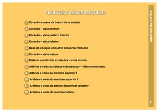 ANATOMIA
NA
PRÁTICA
III SISTEMA CARDIOVASCULAR
41
1. Coração e vasos da base – vista anterior
2. Coração – vista anterior
3. Coração – vista postero inferior
4. Coração – vista inferior
5. Base do coração com átrio esquerdo removido
6. Coração – vista interna
7. Sistema ventilatório e relações – vista anterior
8. Artérias e veias da cabeça e do pescoço – vista anterolateral
9. Artérias e veias do membro superior I
10. Artérias e veias do membro superior II
11. Artérias e veias da parede abdominal posterior
12. Artérias e veias do membro inferior
 