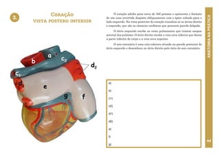 ANATOMIA
NA
PRÁTICA
44
O coração adulto pesa cerca de 300 gramas e apresenta o formato
de um cone invertido disposto obliquamente com o ápice voltado para o
lado esquerdo. Na vista posterior do coração visualiza-se os átrios direito
e esquerdo, que são as câmaras cardíacas que possuem parede delgada.
O átrio esquerdo recebe as veias pulmonares que trazem sangue
arterial dos pulmões. O átrio direito recebe a veia cava inferior que drena
a parte inferior do corpo e a veia cava superior.
O seio coronário é uma veia coletora situada na parede posterior do
átrio esquerdo e desemboca no átrio direito pelo óstio do seio coronário.
Coração
vista postero inferior
a)
b)
c1)
c2)
d1)
d2)
e)
f)
g)
3.
a
b c2
d2
e
f
g
c1
d1
3. CORAÇÃO - VISTA POSTERIOR
 