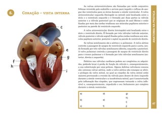 ANATOMIA
NA
PRÁTICA
47
As valvas atrioventriculares são formadas por tecido conjuntivo
fribroso revestido pelo endotélio e servem para impedir o refluxo de san-
gue dos ventrículos para os átrios durante a sístole ventricular. A valva
atrioventricular esquerda (bicúspide ou mitral) está localizada entre o
átrio e o ventrículo esquerdo e é formada por duas partes (a válvula
anterior e a válvula posterior) que se originam do anel fibroso e estão
fixadas por meio das cordas tendíneas aos músculos papilares anterior e
posterior na parede do ventrículo esquerdo.
A valva atrioventricular direita (tricúspide) está localizada entre o
átrio e ventrículo direito. É formada por três válvulas (válvula anterior,
válvula posterior e válvula septal) fixadas pelas cordas tendíneas aos mús-
culos papilares anterior, posterior e septal na parede do ventrículo direito.
As valvas semilunares são a aórtica e a pulmonar. A valva aórtica
controla a passagem de sangue do ventrículo esquerdo para a aorta, sen-
do formada por três válvulas semilunares (direita, esquerda e posterior).
A valva pulmonar controla a passagem de sangue do ventrículo direito
para o tronco pulmonar e é formada por três válvulas semilunares (an-
terior, direita e esquerda).
Defeitos nas válvulas cardíacas podem ser congênitos ou adquiri-
dos, podendo levar à perda de função da válvula e, consequentemente,
a sua substituição por uma prótese. Alguns defeitos valvulares comuns
são: estenose valvar aórtica, onde a valva aórtica não consegue se abrir,
o prolapso da valva mitral, no qual as cúspides da valva mitral estão
maiores provocando a eversão da válvula para dentro do átrio esquerdo
durante a sístole ventricular e a insuficiência mitral, que é caracterizada
pela inflamação das cúspides, que engrosssam tornando a valva infle-
xível e, consequentemente, impedindo o seu fechamento por completo
durante a sístole ventricular.
Coração – vista interna
6.
a)
b)
c)
d)
e)
f)
g)
h)
i)
j)
d
e
f
g
h
i
j
c
a
b
6. CORAÇÃO - VISTA INTERNA
 