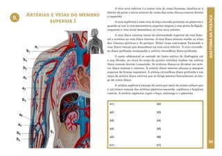 ANATOMIA
NA
PRÁTICA
50
A veia cava inferior é a maior veia do corpo humano, localiza-se à
direita da aorta e inicia através da união das veias ilíacas comuns direita
e esquerda.
A veia esplênica é uma veia do baço situada posterior ao pâncreas e
quando se une à veia mesentérica superior origina a veia porta do fígado,
enquanto a veia renal desemboca na veia cava inferior.
A veia ilíaca externa inicia na extremidade superior da veia femo-
ral e termina na veia ilíaca interna. A veia ilíaca interna recebe as veias
das vísceras pélvicas e do períneo. Estas veias convergem formando a
veia ilíaca comum que desemboca na veia cava inferior. A veia circunfle-
xa ilíaca profunda acompanha a artéria circunflexa ilíaca profunda.
A aorta abdominal se estende do hiato aórtico do diafragma até
a sua divisão, no nível do corpo da quarta vértebra lombar em artéria
ilíaca comum direita e esquerda. As artérias ilíacas se dividem em arté-
ria ilíaca interna e externa. A artéria ilíaca interna alcança a margem
superior do forame isquiático. A artéria circunflexa ilíaca profunda é um
ramo da artéria ilíaca externa que se dirige póstero-lateralmente ao lon-
go da crista ilíaca.
A artéria esplênica emerge da aorta por meio do tronco celíaco que
é um tronco comum das artérias gástrica esquerda, esplênica e hepática
comum. A artéria esplênica supre o baço, estômago e o pâncreas.
Artérias e veias do membro
superior I
9.
a1)
a2)
a3)
a4)
a5)
b1)
b2)
b3)
b4)
b5)
b6)
b7)
b3
b2
a3
b4
a4
a5
b5
b6
b7
9. ARTÉRIAS E VEIAS DO MEMBRO
SUPERIOR I
a1
a2
b1
 