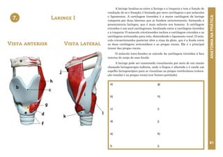ANATOMIA
NA
PRÁTICA
61
A laringe localiza-se entre a faringe e a traqueia e tem a função de
condução do ar e fonação; é formada por nove cartilagens e por músculos
e ligamentos. A cartilagem tireoidea é a maior cartilagem da laringe
composta por duas lâminas que se fundem anteriormente, formando a
proeminência laríngea, que é mais saliente nos homens. A cartilagem
cricoidea é um anel cartilaginoso, localizada entre a cartilagem tireoidea
e a traqueia. O músculo cricotireoideo inclina a cartilagem cricoidea e as
cartilagens aritenoides para trás, distendendo o ligamento vocal. O mús-
culo cricoaritenoideo posterior abre a rima da glote, que é a fenda entre
as duas cartilagens aritenoideas e as pregas vocais. Ele é o principal
tensor das pregas vocais.
O músculo tireo-hioideo se estende da cartilagem tireóidea à face
interna do corpo do osso hioide.
A laringe pode ser examinada visualmente por meio de um exame
chamado laringoscopia indireta, onde a língua é afastada e é usado um
espelho laringoscópico para se visualizar as pregas vestibulares (colora-
ção rosada) e as pregas vocais (cor branco-perolado).
Laringe I
7.
a)
b)
c)
d)
e)
f)
g)
h)
i)
j)
k)
l)
7. LARINGE I
a
b
c
d
e
f
g
h
i
j
k
l
Vista lateral
Vista anterior
Vista anterior Vista lateral
 