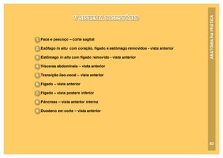 ANATOMIA
NA
PRÁTICA
1. Face e pescoço – corte sagital
2. Esôfago in situ com coração, fígado e estômago removidos - vista anterior
3. Estômago in situ com fígado removido - vista anterior
4. Vísceras abdominais – vista anterior
5. Transição íleo-cecal – vista anterior
6. Fígado – vista anterior
7. Fígado – vista postero inferior
8. Pâncreas – vista anterior interna
9. Duodeno em corte – vista anterior
V SISTEMA DIGESTÓRIO
63
 