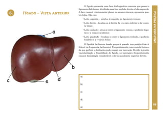 ANATOMIA
NA
PRÁTICA
69
6. FÍGADO – VISTA ANTERIOR
e
b
d
a
c
O fígado apresenta uma face diafragmática convexa que possui o
ligamento falciforme, dividindo essa face em lobo direito e lobo esquerdo.
A face visceral relativamente plana, ou mesmo côncava, apresenta qua-
tro lobos. São eles:
• Lobo esquerdo – porções à esquerda do ligamento venoso;
• Lobo direito – localiza-se à direita da veia cava inferior e da vesícu-
la biliar;
• Lobo caudado – situa-se entre o ligamento venoso, o pedículo hepá-
tico e a veia cava inferior;
• Lobo quadrado – localiza-se entre o ligamento redondo, o pedículo
hepático e a vesícula biliar.
O fígado é facilmente lesado porque é grande, tem posição fixa e é
friável (se fragmenta facilmente). Frequentemente, uma costela fratura-
da que perfure o diafragma pode causar sua laceração. Devido à grande
vascularização e friabilidade do fígado, as lacerações frequentemente
causam hemorragia considerável e dor no quadrante superior direito.
Fígado – Vista anterior
a)
b)
c)
d)
e)
6.
 