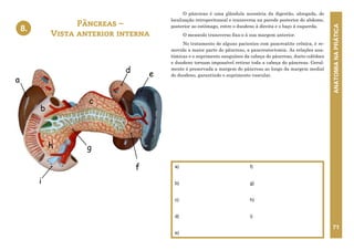 ANATOMIA
NA
PRÁTICA
71
O pâncreas é uma glândula acessória da digestão, alongada, de
localização retroperitoneal e transversa na parede posterior do abdome,
posterior ao estômago, entre o duodeno à direita e o baço à esquerda.
O mesocolo transverso fixa-o à sua margem anterior.
No tratamento de alguns pacientes com pancreatite crônica, é re-
movida a maior parte do pâncreas, a pancreatectomia. As relações ana-
tômicas e o suprimento sanguíneo da cabeça do pâncreas, ducto colédoco
e duodeno tornam impossível retirar toda a cabeça do pâncreas. Geral-
mente é preservada a margem do pâncreas ao longo da margem medial
do duodeno, garantindo o suprimento vascular.
Pâncreas –
Vista anterior interna
a)
b)
c)
d)
e)
f)
g)
h)
i)
8.
8. PÂNCREAS – VISTA ANTERIOR INTERNA
b
c
f
a
h
d e
g
i
 