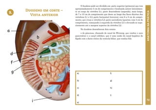 ANATOMIA
NA
PRÁTICA
72
O duodeno pode ser dividido em: parte superior (primeira) que tem
aproximadamente 5 cm de comprimento e localizada antero lateralmen-
te ao corpo da vértebra L1; parte descendente (segunda), mais longa,
de 7 a 10 cm de comprimento que desce ao longo das faces direitas das
vértebras L1 e L3; parte horizontal (terceira), com 6 a 8 cm de compri-
mento, que cruza a vértebra L3; parte ascendente (quarta), com 5 cm de
comprimento, começando à esquerda da vértebra L3 e elevando-se supe-
riormente até a margem superior da vértebra L2.
No duodeno desembocam dois canais:
o do pâncreas, chamado de canal de Wirsung, que conduz o suco
pancreático e o canal colédoco, que é uma união do canal hepático do
fígado com o ducto cístico da vesícula biliar, que conduz bile.
Duodeno em corte –
Vista anterior
a)
b)
c)
d)
e)
f)
g)
h)
i)
9.
f
a
d
g
e
c
b
h
i
9. DUODENO EM CORTE – VISTA
ANTERIOR
 