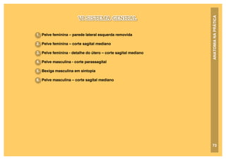 ANATOMIA
NA
PRÁTICA
VI SISTEMA GENITAL
73
1. Pelve feminina – parede lateral esquerda removida
2. Pelve feminina – corte sagital mediano
3. Pelve feminina - detalhe do útero – corte sagital mediano
4. Pelve masculina - corte parassagital
5. Bexiga masculina em sintopia
6. Pelve masculina – corte sagital mediano
 