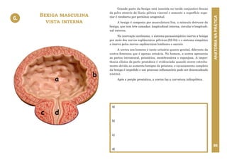 ANATOMIA
NA
PRÁTICA
86
Grande parte da bexiga está inserida no tecido conjuntivo frouxo
da pelve através da fáscia pélvica visceral e somente a superfície supe-
rior é recoberta por peritônio urogenital.
A bexiga é composta por musculatura lisa, o músculo detrusor da
bexiga, que tem três camadas: longitudinal interna, circular e longitudi-
nal externa.
Na inervação autônoma, o sistema parassimpático inerva a bexiga
por meio dos nervos esplâncnicos pélvicos (S2-S4) e o sistema simpático
a inerva pelos nervos esplâncnicos lombares e sacrais.
A uretra nos homens é tanto urinária quanto genital, diferente da
uretra feminina que é apenas urinária. No homem, a uretra apresenta
as partes intramural, prostática, membranácea e esponjosa. A impor-
tância clínica da parte prostática é evidenciada quando ocorre estreita-
mento devido ao aumento benigno da próstata; o esvaziamento completo
da bexiga é impedido e um processo inflamatório pode ser desencadeado
(cistite).
Após a porção prostática, a uretra faz a curvatura infrapúbica.
Bexiga masculina
vista interna
a)
b)
c)
d)
6.
6. BEXIGA MASCULINA – VISTA INTERNA
a
b
c d
 