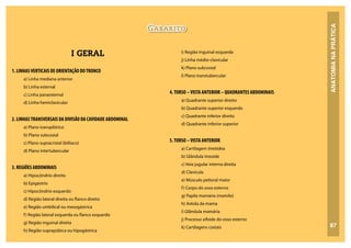 ANATOMIA
NA
PRÁTICA
Gabarito
87
I GERAL
1. LINHASVERTICAIS DE ORIENTAÇÃO DOTRONCO
a) Linha mediana anterior
b) Linha esternal
c) Linha paraesternal
d) Linha hemiclavicular
2. LINHASTRANSVERSAIS DA DIVISÃO DA CAVIDADE ABDOMINAL
a) Plano transpilórico
b) Plano subcostal
c) Plano supracristal (biilíaco)
d) Plano intertubercular
3. REGIÕES ABDOMINAIS
a) Hipocôndrio direito
b) Epigástrio
c) Hipocôndrio esquerdo
d) Região lateral direita ou flanco direito
e) Região umbilical ou mesogástrica
f) Região lateral esquerda ou flanco esquerdo
g) Região inguinal direita
h) Região suprapúbica ou hipogástrica
i) Região inguinal esquerda
j) Linha médio-clavicular
k) Plano subcostal
l) Plano transtubercular
4.TORSO –VISTA ANTERIOR – QUADRANTES ABDOMINAIS
a) Quadrante superior direito
b) Quadrante superior esquerdo
c) Quadrante inferior direito
d) Quadrante inferior superior
5.TORSO –VISTA ANTERIOR
a) Cartilagem tireóidea
b) Glândula tireoide
c) Veia jugular interna direita
d) Clavícula
e) Músculo peitoral maior
f) Corpo do osso esterno
g) Papila mamária (mamilo)
h) Aréola da mama
i) Glândula mamária
j) Processo xifoide do osso esterno
k) Cartilagens costais
 