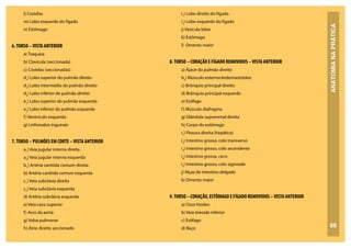 ANATOMIA
NA
PRÁTICA
88
l) Costelas
m) Lobo esquerdo do fígado
n) Estômago
6.TORSO –VISTA ANTERIOR
a) Traqueia
b) Clavícula (seccionada)
c) Costelas (seccionadas)
d1
) Lobo superior do pulmão direito
d2
) Lobo intermédio do pulmão direito
d3
) Lobo inferior do pulmão direito
e1
) Lobo superior do pulmão esquerdo
e2
) Lobo inferior do pulmão esquerdo
f) Ventrículo esquerdo
g) Linfonodos inguinais
7.TORSO – PULMÕES EM CORTE –VISTA ANTERIOR
a1
) Veia jugular interna direita
a2
) Veia jugular interna esquerda
b1
) Artéria carótida comum direita
b) Artéria carótida comum esquerda
c1
) Veia subclávia direita
c2
) Veia subclávia esquerda
d) Artéria subclávia esquerda
e) Veia cava superior
f) Arco da aorta
g) Valva pulmonar
h) Átrio direito seccionado
i1
) Lobo direito do fígado
i2
) Lobo esquerdo do fígado
j) Vesícula biliar
k) Estômago
l) Omento maior
8.TORSO – CORAÇÃO E FÍGADO REMOVIDOS –VISTA ANTERIOR
a) Ápice do pulmão direito
b2
) Músculo esternocleidomastóideo
c) Brônquio principal direito
d) Brônquio principal esquerdo
e) Esôfago
f) Músculo diafragma
g) Glândula suprarrenal direita
h) Corpo do estômago
i1
) Flexura direita (hepática)
i2
) Intestino grosso, colo transverso
i3
) Intestino grosso, colo ascendente
i4
) Intestino grosso, ceco
i5
) Intestino grosso, colo sigmoide
j) Alças do intestino delgado
k) Omento maior
9.TORSO – CORAÇÃO, ESTÔMAGO E FÍGADO REMOVIDOS –VISTA ANTERIOR
a) Osso hiodeo
b) Veia tireoide inferior
c) Esôfago
d) Baço
 