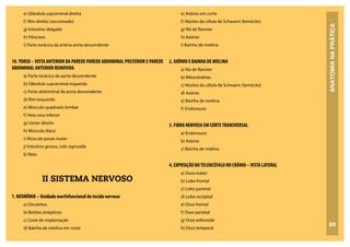 ANATOMIA
NA
PRÁTICA
89
e) Glândula suprarrenal direita
f) Rim direito (seccionado)
g) Intestino delgado
h) Pâncreas
i) Parte torácica da artéria aorta descendente
10. TORSO – VISTA ANTERIOR DA PAREDE PAREDE ABDOMINAL POSTERIOR E PAREDE
ABDOMINAL ANTERIOR REMOVIDA
a) Parte torácica da aorta descendente
b) Glândula suprarrenal esquerda
c) Parte abdominal da aorta descendente
d) Rim esquerdo
e) Músculo quadrado lombar
f) Veia cava inferior
g) Ureter direito
h) Músculo ilíaco
i) Músculo psoas maior
j) Intestino grosso, colo sigmoide
k) Reto
II SISTEMA NERVOSO
1. NEURÔNIO – Unidade morfofuncional do tecido nervoso
a) Dendritos
b) Botões sinápticos
c) Cone de implantação
d) Bainha de mielina em corte
e) Axônio em corte
f) Núcleo da célula de Schwann (lemócito)
g) Nó de Ranvier
h) Axônio
i) Bainha de mielina
2. AXÔNIO E BAINHA DE MIELINA
a) Nó de Ranvier
b) Mitocôndrias
c) Núcleo da célula de Schwann (lemócito)
d) Axônio
e) Bainha de mielina
f) Endoneuro
3. FIBRA NERVOSA EM CORTETRANSVERSAL
a) Endoneuro
b) Axônio
c) Bainha de mielina
4. EXPOSIÇÃO DOTELENCÉFALO NO CRÂNIO –VISTA LATERAL
a) Dura-máter
b) Lobo frontal
c) Lobo parietal
d) Lobo occipital
e) Osso frontal
f) Osso parietal
g) Osso esfenoide
h) Osso temporal
 