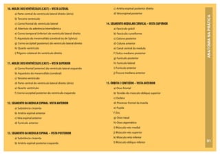 ANATOMIA
NA
PRÁTICA
91
10. MOLDE DOSVENTRÍCULOS (CAST) –VISTA LATERAL
a) Parte central do ventrículo lateral direito (átrio)
b) Terceiro ventrículo
c) Corno frontal do ventrículo lateral
d) Abertura da aderência intertalâmica
e) Corno temporal (inferior) do ventrículo lateral direito
f) Aqueduto do mesencéfalo (cerebral ou de Sylvius)
g) Corno occipital (posterior) do ventrículo lateral direito
h) Quarto ventrículo
i) Trígono colateral do ventrículo direito
11. MOLDE DOSVENTRÍCULOS (CAST) –VISTA SUPERIOR
a) Corno frontal (anterior) do ventrículo lateral esquerdo
b) Aqueduto do mesencéfalo (cerebral)
c) Terceiro ventrículo
d) Parte central do ventrículo lateral direito (átrio)
e) Quarto ventrículo
f) Corno occipital posterior do ventrículo esquerdo
12. SEGMENTO DA MEDULA ESPINAL-VISTA ANTERIOR
a) Substância cinzenta
b) Artéria espinal anterior
c) Veia espinal anterior
d) Funículo anterior
13. SEGMENTO DA MEDULA ESPINAL –VISTA POSTERIOR
a) Substância cinzenta
b) Artéria espinal posterior esquerda
c) Artéria espinal posterior direita
d) Veia espinal posterior
14. SEGMENTO MEDULAR CERVICAL –VISTA SUPERIOR
a) Fascículo grácil
b) Fascículo cuneiforme
c) Coluna posterior
d) Coluna anterior
e) Canal central da medula
f) Sulco mediano posterior
g) Funículo posterior
h) Funículo lateral
i) Funículo anterior
j) Fissura mediana anterior
15. ÓRBITA E CONTEÚDO –VISTA ANTERIOR
a) Osso frontal
b) Tendão do músculo oblíquo superior
c) Esclera
d) Processo frontal da maxila
e) Pupila
f) Íris
g) Osso nasal
h) Osso zigomático
i) Músculo reto medial
j) Músculo reto superior
k) Músculo reto inferior
l) Músculo oblíquo inferior
 