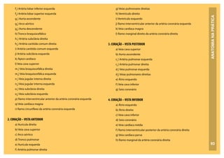 ANATOMIA
NA
PRÁTICA
93
f1
) Artéria lobar inferior esquerda
f2
) Artéria lobar superior esquerda
g1
) Aorta ascendente
g2
) Arco aórtico
g3
) Aorta descendente
h) Tronco braquiocefálico
h1
) Artéria subclávia direita
h2
) Artéria carótida comum direita
i) Artéria carótida comum esquerda
j) Artéria subclávia esquerda
k) Ápice cardíaco
l) Veia cava superior
m1
) Veia braquiocefálica direita
m2
) Veia braquiocefálica esquerda
n1
) Veia jugular interna direita
n2
) Veia jugular interna esquerda
o1
) Veia subclávia direita
o2
) Veia subclávia esquerda
p) Ramo interventricular anterior da artéria coronária esquerda
q) Veia cardíaca magna
r) Ramo circunflexo da artéria coronária esquerda
2. CORAÇÃO –VISTA ANTERIOR
a) Aurícula direita
b) Veia cava superior
c) Arco aórtico
d) Tronco pulmonar
e) Aurícula esquerda
f) Artéria pulmonar direita
g) Veias pulmonares direitas
h) Ventrículo direito
i) Ventrículo esquerdo
j) Ramo interventricular anterior da artéria coronária esquerda
k) Veia cardíaca magna
l) Ramo marginal direito da artéria coronária direita
3. CORAÇÃO –VISTA POSTERIOR
a) Veia cava superior
b) Aorta ascendente
c1
) Artéria pulmonar esquerda
c2
) Artéria pulmonar direita
d1
) Veia pulmonar esquerda
d2
) Veias pulmonares direitas
e) Átrio esquerdo
f) Veia cava inferior
g) Seio coronário
4. CORAÇÃO –VISTA INFERIOR
a) Átrio esquerdo
b) Átrio direito
c) Veia cava inferior
d) Seio coronário
e) Veia cardíaca média
f) Ramo interventricular posterior da artéria coronária direita
g) Veia cardíaca parva
h) Ramo marginal da artéria coronária direita
 