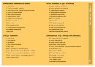 ANATOMIA
NA
PRÁTICA
94
5. BASE DO CORAÇÃO COM ÁTRIO ESQUERDO REMOVIDO
a) Átrio direito
b) Vista interna do átrio esquerdo
c) Valva atrioventricular esquerda (bicúspide ou mitral)
d) Cicatriz do óstio secundário
e) Veias pulmonares direitas
f) Artéria pulmonar direita
g) Artéria pulmonar esquerda
h) Veia cava superior
i) Arco aórtico
j) Tronco braquiocefálico
k) Artéria carótida comum esquerda
l) Artéria subclávia esquerda
m) Veia ázigo
6. CORAÇÃO –VISTA INTERNA
a) Átrio direito
b) Átrio esquerdo
c) Arco aórtico
d) Valva do tronco pulmonar
e) Valva aórtica
f) Valva atrioventricular direita (tricúspide)
g) Valva atrioventricular esquerda (bicúspide ou mitral)
h) Cordas tendíneas (ou processos tendinosos) da valva
i) Corda tendínea fixada no músculo papilar posterior
j) Septo interventricular
7. SISTEMAVENTILATÓRIO E RELAÇÕES –VISTA ANTERIOR
a1
) Artéria carótida comum direita
a2
) Artéria carótida comum esquerda
b1
) Veia jugular interna direita
b2
) Veia jugular interna esquerda
c1
) Veia braquiocefálica direita
c2
) Veia braquiocefálica esquerda
d) Veia cava superior
e) Arco aórtico
f) Artéria pulmonar esquerda
g1
) Veias pulmonares direitas
g2
) Veias pulmonares esquerdas
h) Artéria pulmonar direita
i) Aorta descendente (parte torácica)
8. ARTÉRIAS EVEIAS DA CABEÇA E DO PESCOÇO -VISTA ANTEROLATERAL
a) Artéria carótida comum esquerda
a1
) Artéria facial esquerda
a2
) Artéria temporal superficial
b) Veia jugular interna esquerda
b1
) Tronco comum recebendo as veia facial e retromandibular
b2
) Veia facial esquerda
b3
) Veia retromandibular
c) Artéria carótida comum direita
d) Veia jugular interna direita
e) Artéria subclávia direita
f) Veia subclávia direita
g) Veia braquiocefálica esquerda
 