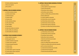ANATOMIA
NA
PRÁTICA
95
h) Artéria subclávia esquerda
i) Veia cava superior
j) Arco aórtico
9. ARTÉRIAS EVEIAS DO MEMBRO SUPERIOR I
a1
) Artéria subclávia direita
a2
) Artéria axilar direita
a3
) Artéria braquial
a4
) Artéria radial
a5
) Artéria ulnar
b1
) Veia subclávia direita
b2
) Veia axilar direita
b3
) Veia cefálica
b4
) Veia basílica
b5
) Veia intermédia do cotovelo
b6
) Veia cefálica do antebraço
b7
) Veia basílica do antebraço
10. ARTÉRIAS EVEIAS DO MEMBRO SUPERIOR II
a) Veia subclávia esquerda
b) Veia jugular interna
c1
) Artéria subclávia esquerda
c2
) Artéria axilar esquerda
c3
) Artéria braquial esquerda
c4
) Artéria ulnar
c5
) Artéria radial
d1
) Artéria lobar superior esquerda
d2
) Artéria lobar inferior esquerda
e) Aorta abdominal
11. ARTÉRIAS EVEIAS DA PAREDE ABDOMINAL POSTERIOR
a) Veia cava inferior
a1
) Veia esplênica esquerda (lineal)
a2
) Veia renal esquerda
a3
) Veia ilíaca interna direita
a4
) Veia ilíaca externa direita
a5
) Veia circunflexa ilíaca profunda direita
b) Aorta abdominal
b1
) Artéria esplênica esquerda
b2
) Artéria ilíaca comum esquerda
b3
) Artéria ilíaca externa direita
b4
) Artéria ilíaca interna esquerda
b5
) Artéria ilíaca externa esquerda
b6
) Artéria circunflexa ilíaca profunda direita
12. ARTÉRIAS EVEIAS DO MEMBRO INFERIOR
a1
) Artéria ilíaca externa direita
a2
) Artéria ilíaca externa esquerda
b1
) Veia ilíaca interna direita
b2
)Veia ilíaca interna esquerda
c) Veia femoral direita (seccionada)
d) Veia safena magna
e) Veia circunflexa ilíaca profunda direita
f) Artéria circunflexa ilíaca profunda esquerda
g) Arco venoso dorsal do pé
h1
) Artéria femoral direita (seccionada)
h2
) Artéria femoral esquerda
i) Artéria femoral profunda esquerda
 