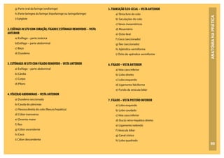 ANATOMIA
NA
PRÁTICA
99
g) Parte oral da faringe (orofaringe)
h) Parte laríngea da faringe (hipofaringe ou laringofaringe)
i) Epiglote
2. ESÔFAGO INSITU COM CORAÇÃO, FÍGADO E ESTÔMAGO REMOVIDOS –VISTA
ANTERIOR
a) Esôfago – parte torácica
b)Esôfago – parte abdominal
c) Baço
d) Duodeno
3. ESTÔMAGO INSITU COM FÍGADO REMOVIDO –VISTA ANTERIOR
a) Esôfago – parte abdominal
b) Cárdia
c) Corpo
d) Piloro
4.VÍSCERAS ABDOMINAIS –VISTA ANTERIOR
a) Duodeno seccionado
b) Cauda do pâncreas
c) Flexura direita do colo (flexura hepática)
d) Cólon transverso
e) Omento maior
f) Íleo
g) Cólon ascendente
h) Ceco
i) Cólon descendente
5.TRANSIÇÃO ÍLEO-CECAL –VISTA ANTERIOR
a) Tênia livre do colo
b) Saculações do colo
c) Vasos mesentéricos
d) Mesentério
e) Óstio ileal
f) Ceco (seccionado)
g) Íleo (seccionado)
h) Apêndice vermiforme
i) Óstio do apêndice vermiforme
6. FÍGADO –VISTA ANTERIOR
a) Veia cava inferior
b) Lobo direito
c) Lobo esquerdo
d) Ligamento falciforme
e) Fundo da vesícula biliar
7. FÍGADO –VISTA POSTERO INFERIOR
a) Lobo esquerdo
b) Lobo caudado
c) Veia cava inferior
d) Ducto retro-hepático direito
e) Ligamento redondo
f) Vesícula biliar
g) Canal cístico
h) Lobo quadrado
 