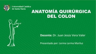 ANATOMÍA QUIRÚRGICA
DEL COLON
Presentado por: Lerma Lerma Mariluz
Docente: Dr. Juan Jesús Vera Valer
 
