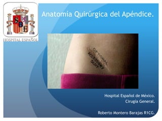 Anatomía Quirúrgica del Apéndice.
Hospital Español de México.
Cirugía General.
Roberto Montero Barajas R1CG.
 