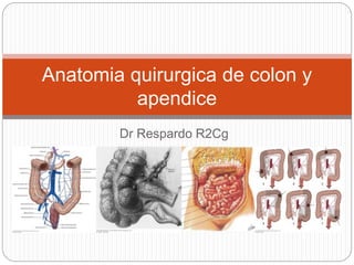 Dr Respardo R2Cg
Anatomia quirurgica de colon y
apendice
 