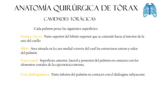 FASCIA
ANATOMÍA QUIRÚRGICA DE tórax
CAVIDADES TORÁCICAS
Cara diafragmática: Parte inferior del pulmón en contacto con el diafragma subyacente.
Cada pulmón posee las siguientes superficies:
Vértice (ápex): Parte superior del lóbulo superior que se extiende hacia el interior de la
raíz del cuello
Hilio: Área situada en la cara medial a través del cual las estructuras entran y salen
del pulmón.
Cara costal: Superficies anterior, lateral y posterior del pulmón en contacto con los
elementos costales de la caja torácica interna.
 
